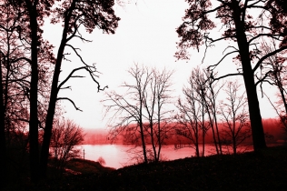 Sezono uždarymas. Fotografas Tautvydas Banelis