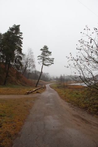 Sezono uždarymas. Fotografas Tautvydas Banelis