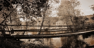 Fotografuojančių kelionė dviračiais 