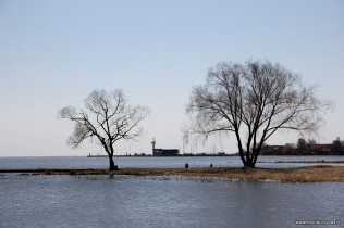 Kelionė dviračiais po Kuršių Neriją